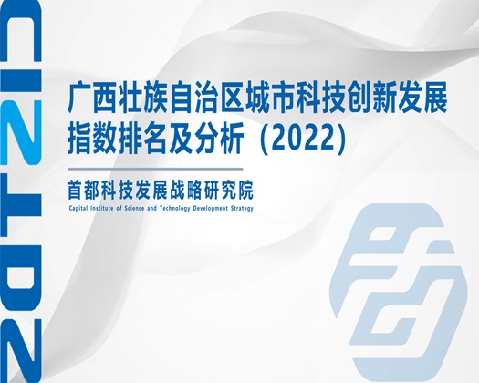 黄色骚片操逼【成果发布】广西壮族自治区城市科技创新发展指数排名及分析（2022）